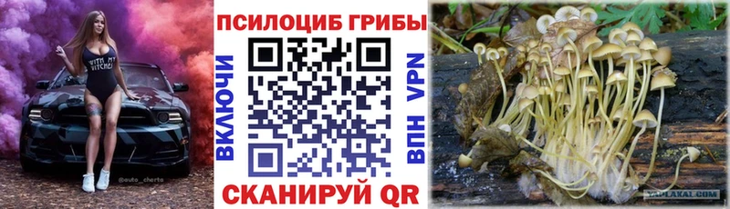 Галлюциногенные грибы прущие грибы  Купить  Ачхой-Мартан 